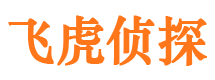 东西湖找人公司